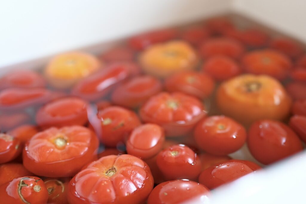 Ein mit Wasser befülltes weißes Waschbecken voller Tomaten